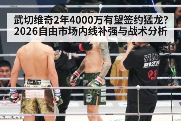 武切维奇2年4000万有望签约猛龙？2026自由市场内线补强与战术分析